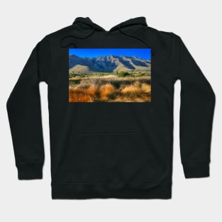 Guadalupe Mountains National Park2 Hoodie